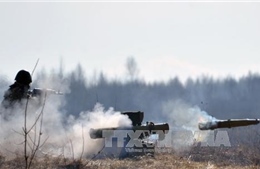 Nga lên án Ukraine triển khai vũ khí tại miền Đông 